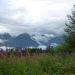Les Alpes ça vous gagne !